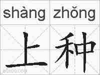 上种的拼音