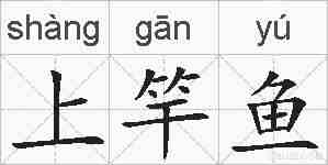 上竿鱼的拼音