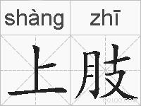 上肢的拼音