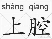 上腔的拼音