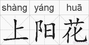 上阳花的拼音