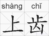 上齿的拼音