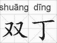 双丁的拼音