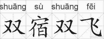 双宿双飞的拼音