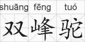 双峰驼的拼音