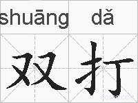 双打的拼音