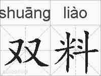 双料的拼音
