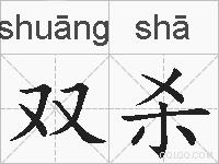 双杀的拼音