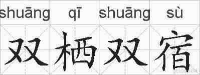 双栖双宿的拼音