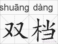 双档的拼音