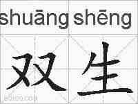 双生的拼音
