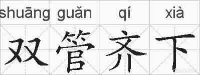 双管齐下的拼音