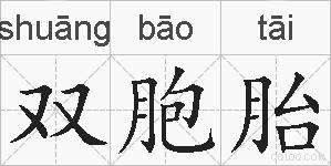 双胞胎的拼音