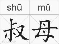 叔母的拼音
