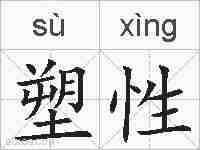 塑性的拼音