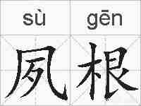 夙根的拼音