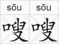 嗖嗖的拼音