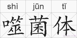 噬菌体的拼音