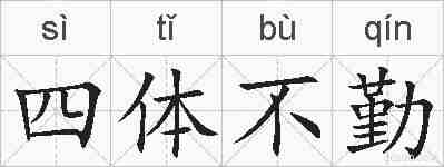 四体不勤的拼音