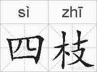 四枝的拼音