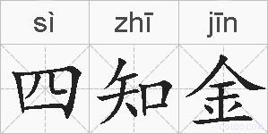 四知金的拼音