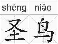 圣鸟的拼音