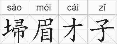 埽眉才子的拼音