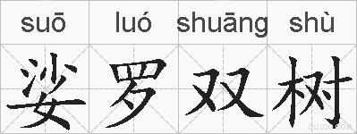 娑罗双树的拼音