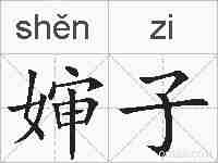 婶子的拼音