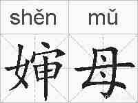 婶母的拼音