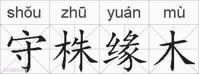 守株缘木的拼音
