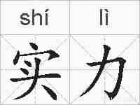 实力的拼音