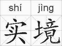实境的拼音