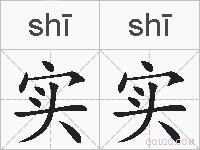 实实的拼音