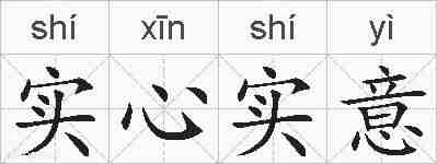 实心实意的拼音