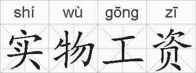 实物工资的拼音
