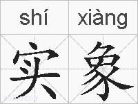 实象的拼音