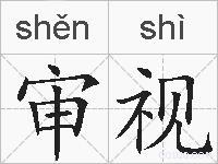 审视的拼音