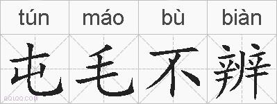 屯毛不辨的拼音