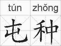 屯种的拼音