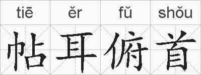 帖耳俯首的拼音