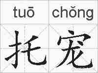 托宠的拼音