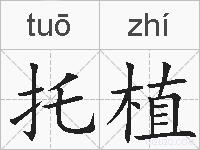 托植的拼音