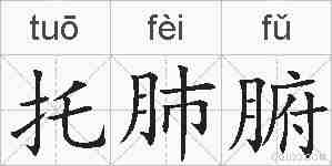 托肺腑的拼音