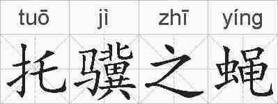 托骥之蝇的拼音