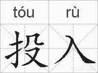 投入的拼音