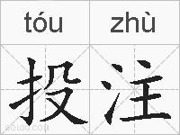 投注的拼音