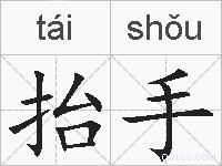 抬手的拼音