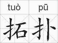 拓扑的拼音