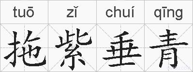 拖紫垂青的拼音
